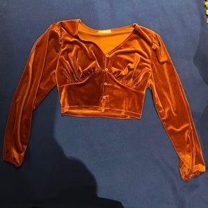 Velvet long sleeve crop top